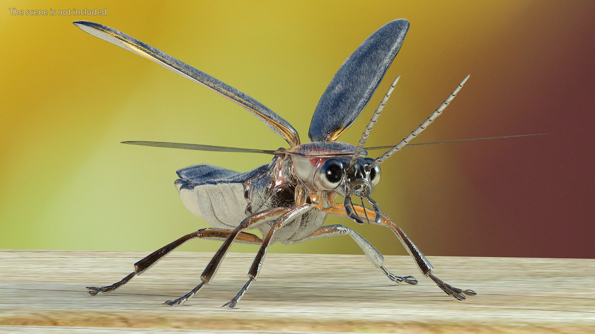 Photinus Pyralis Basic Pose Fur Model - TurboSquid 2170446