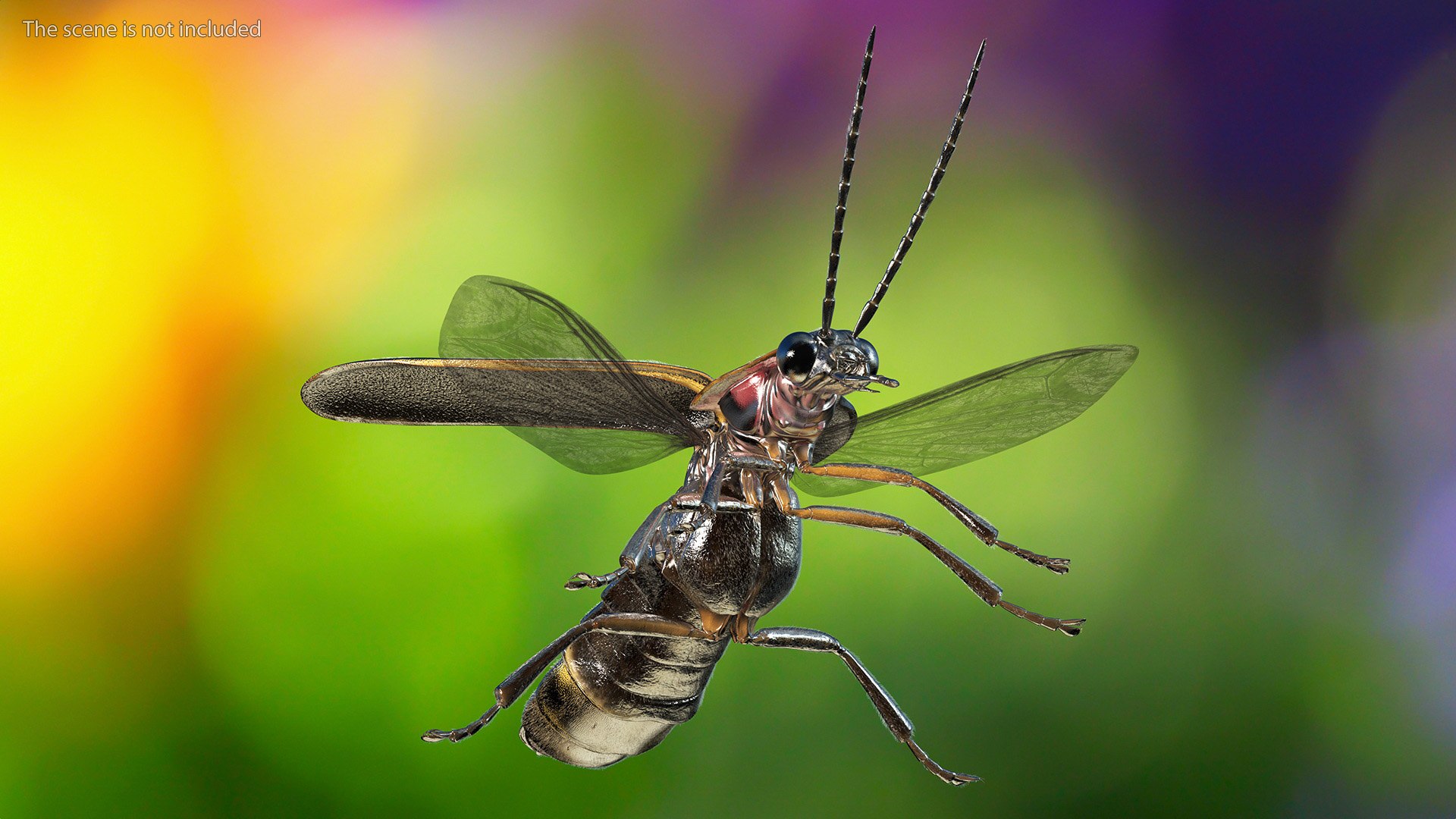 Photinus Pyralis Basic Pose Fur Model - TurboSquid 2170446