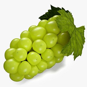 Shine Muscat Grape with Leaves