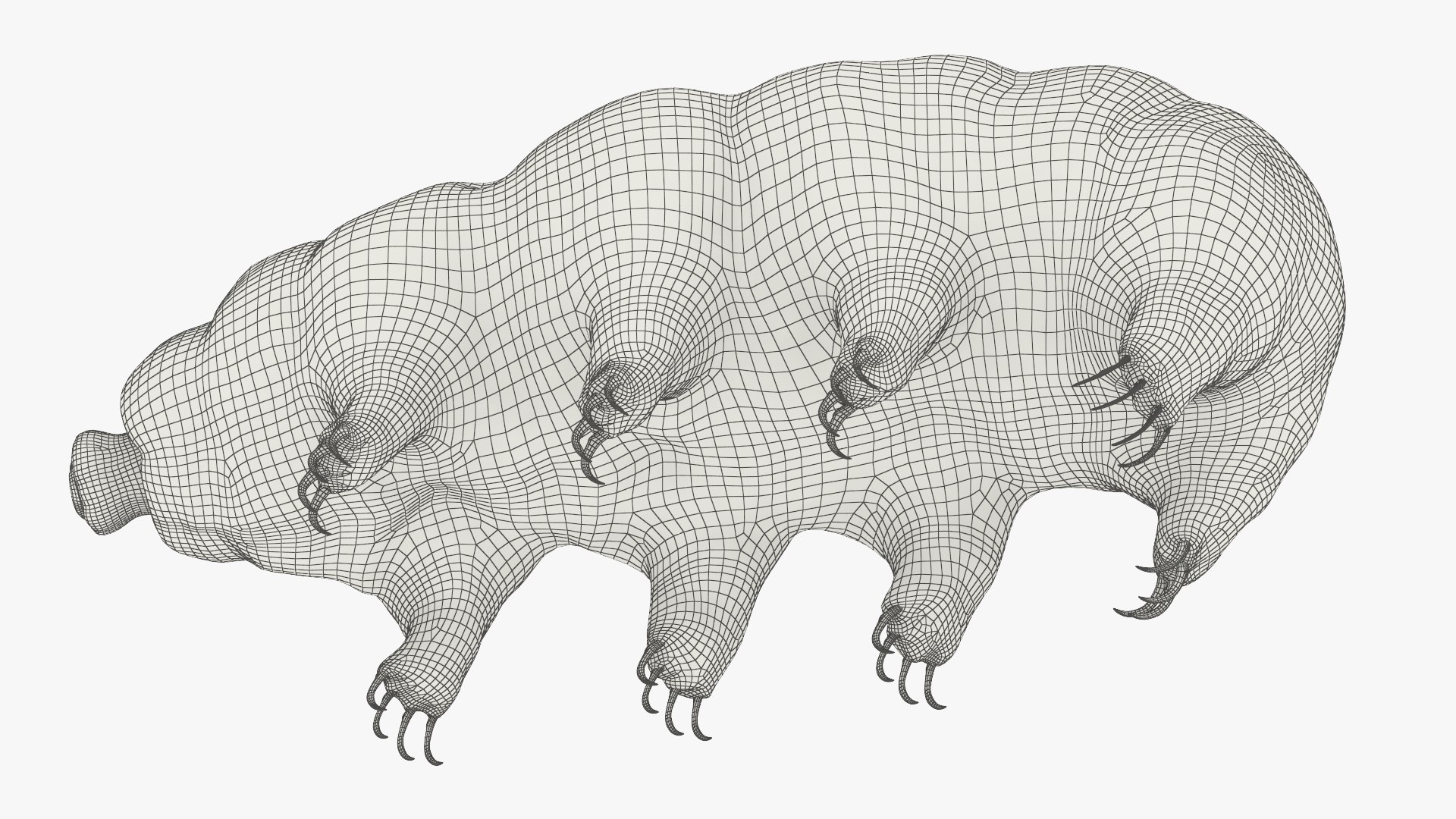 3D model Animal Tardigrade Walking Animated Rigged For Maya https://p.turbosquid.com/ts-thumb/5p/knx0CU/Gb/animal_tardigrade_walking_animated_rigged_for_maya_013/jpg/1775148054/1920x1080/fit_q87/8b6b1c1f1d6532c0c02c7f3c62c3810d9b659f5d/animal_tardigrade_walking_animated_rigged_for_maya_013.jpg