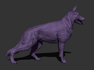 3D GermanShepered v2