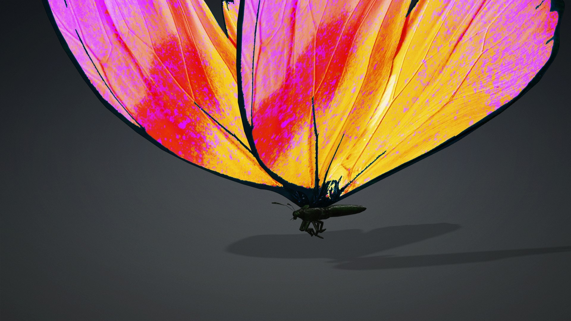 Butterfly insect ROSE 3D model - TurboSquid 2126189
