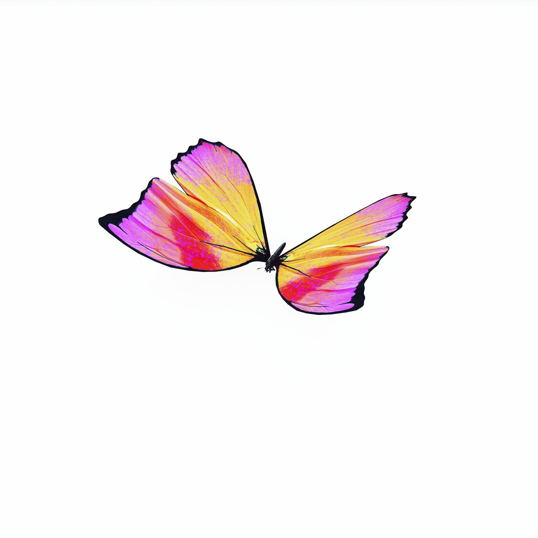 Butterfly insect ROSE 3D model - TurboSquid 2126189