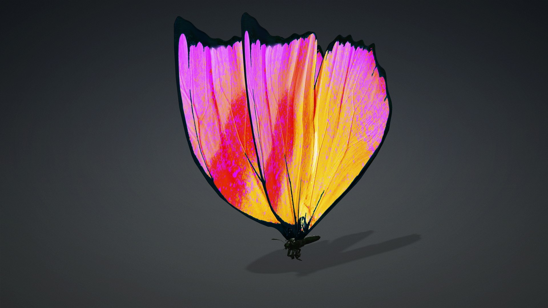 Butterfly insect ROSE 3D model - TurboSquid 2126189