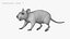 3D rat fur animations 3