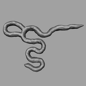 3d model ebola virus