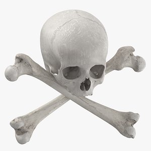 pirate skull bones composition 3D