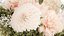 Small Bouquet In Vase Hydrangea Chrysanthem Lilac 579