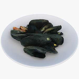 3D plate shellfish