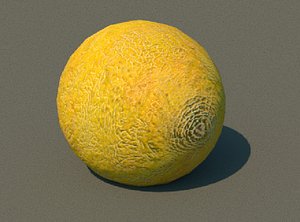 melon 3D model