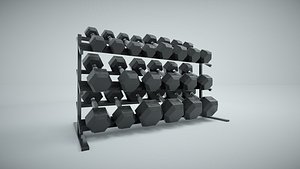 Hex Dumbbell Set and Rack