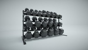 Hex Dumbbell Set and Rack