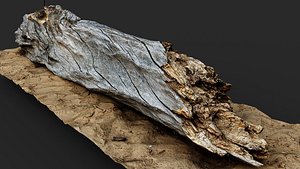 wood log dry tree trunk desert debris PBR photogrammetry 3D model