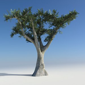 3D model Olive Branch with Black Olives - TurboSquid 1947594