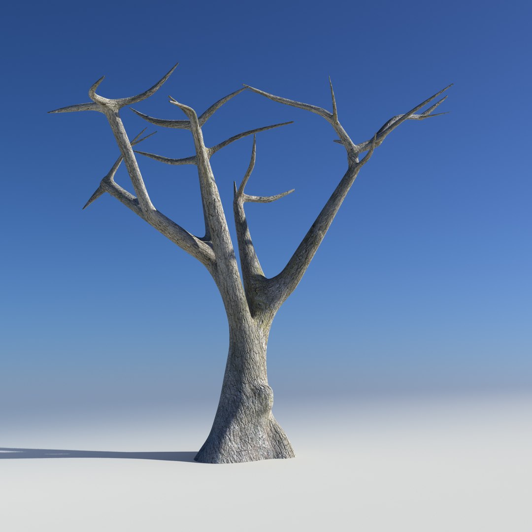 olive tree obj https://p.turbosquid.com/ts-thumb/5r/8ZiggN/knUcUJsn/nackedfront/jpg/1400258579/1920x1080/fit_q87/7fd2657d1d155af5f9bc38272d23a7cb402ce755/nackedfront.jpg