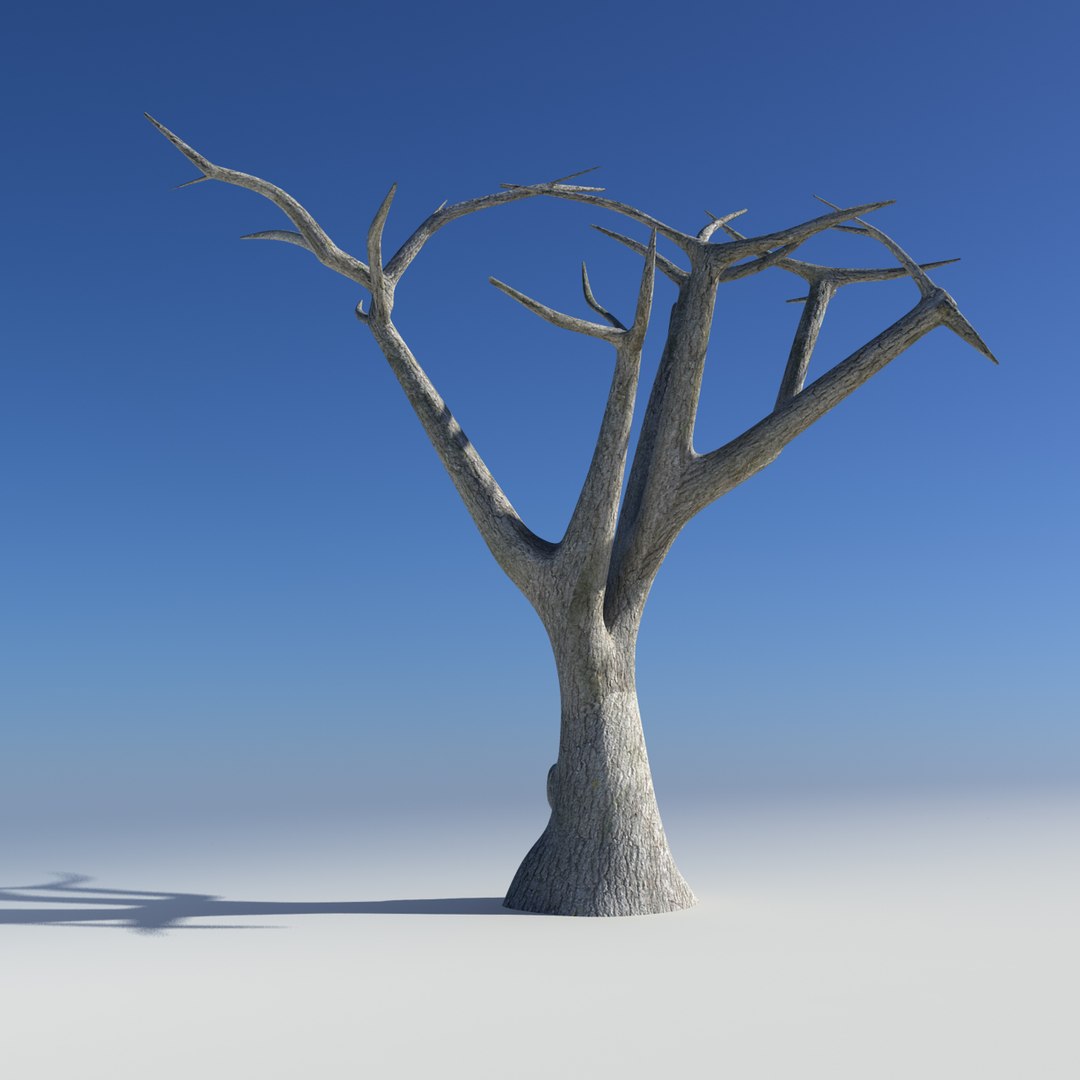 olive tree obj https://p.turbosquid.com/ts-thumb/5r/8ZiggN/vI5bszVu/nackedback/jpg/1400258569/1920x1080/fit_q87/de0add4078c87084835f65396d414bd66ed28c2c/nackedback.jpg