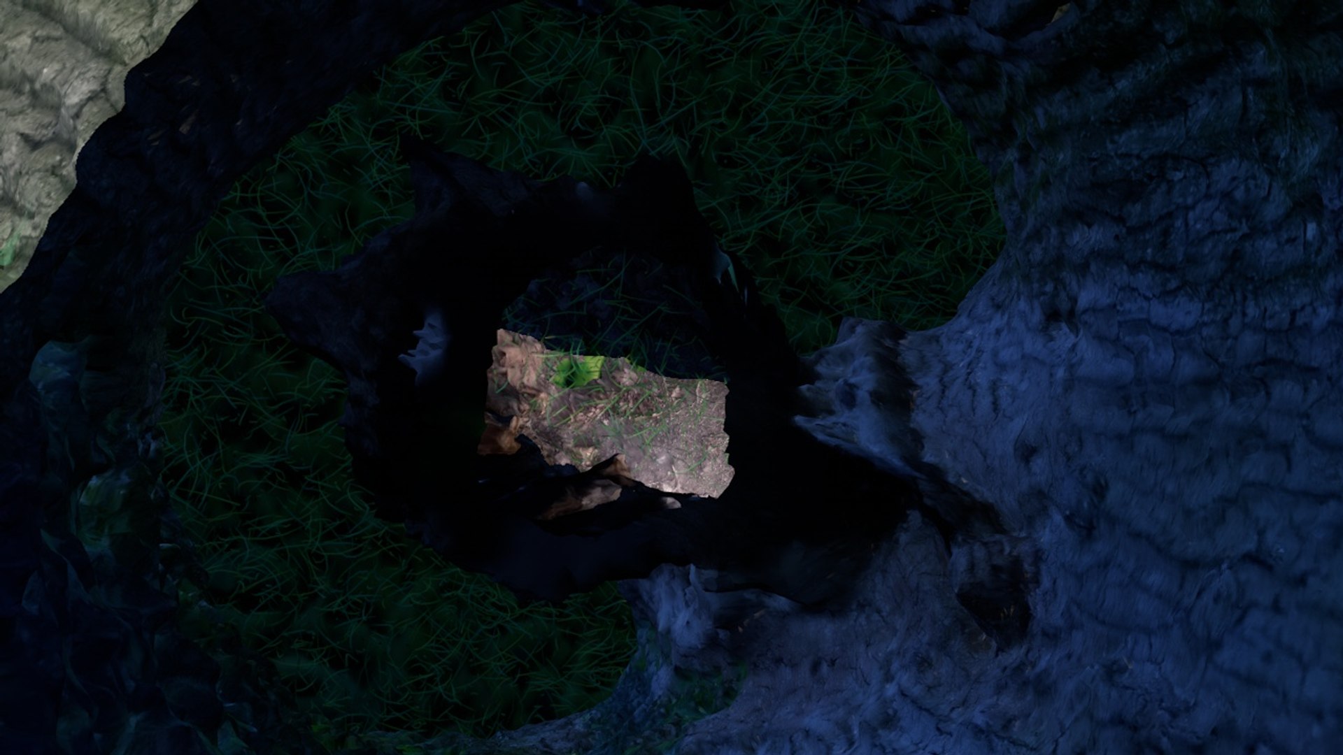 photogrammetry tree trunk hole 3D model https://p.turbosquid.com/ts-thumb/5r/AD1jlR/K4rvMWOq/arbre0018/jpg/1556920247/1920x1080/fit_q87/6fbc339303cf5ccb72d7a1dec4eafb8ad6823925/arbre0018.jpg