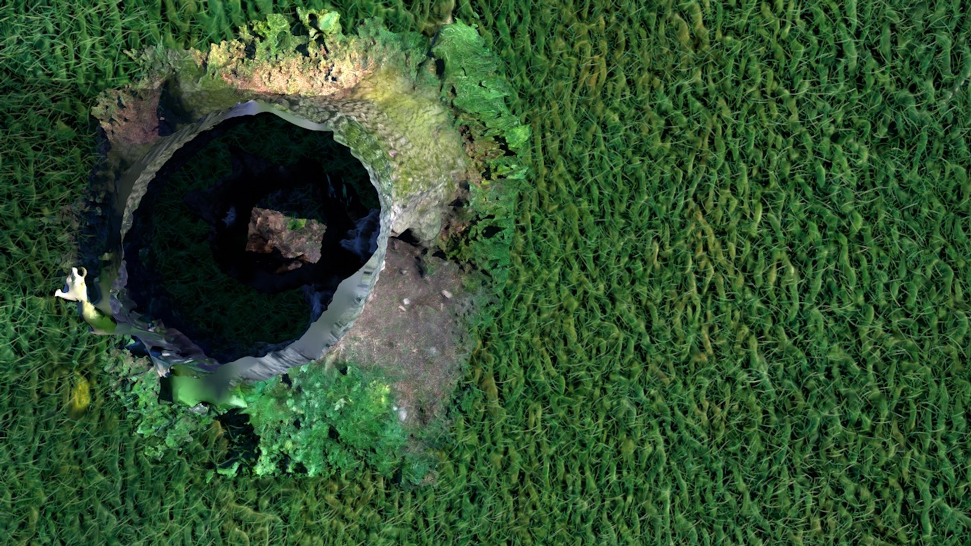 photogrammetry tree trunk hole 3D model https://p.turbosquid.com/ts-thumb/5r/AD1jlR/uX3x6DcK/arbre0017/jpg/1556920247/1920x1080/fit_q87/62006d58a77fd76cc2c8d1a724e5b584a34449bc/arbre0017.jpg