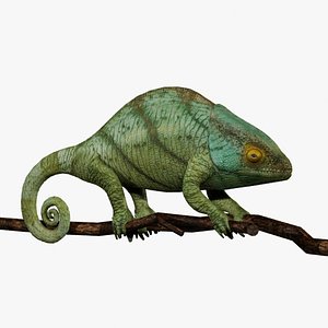 3ds max chameleon