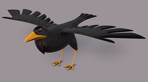 Bird V02