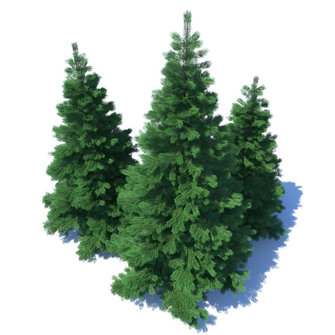 Fir Tree Set 3D Model - TurboSquid 2324737