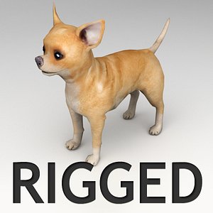 Chihuahua Rigged