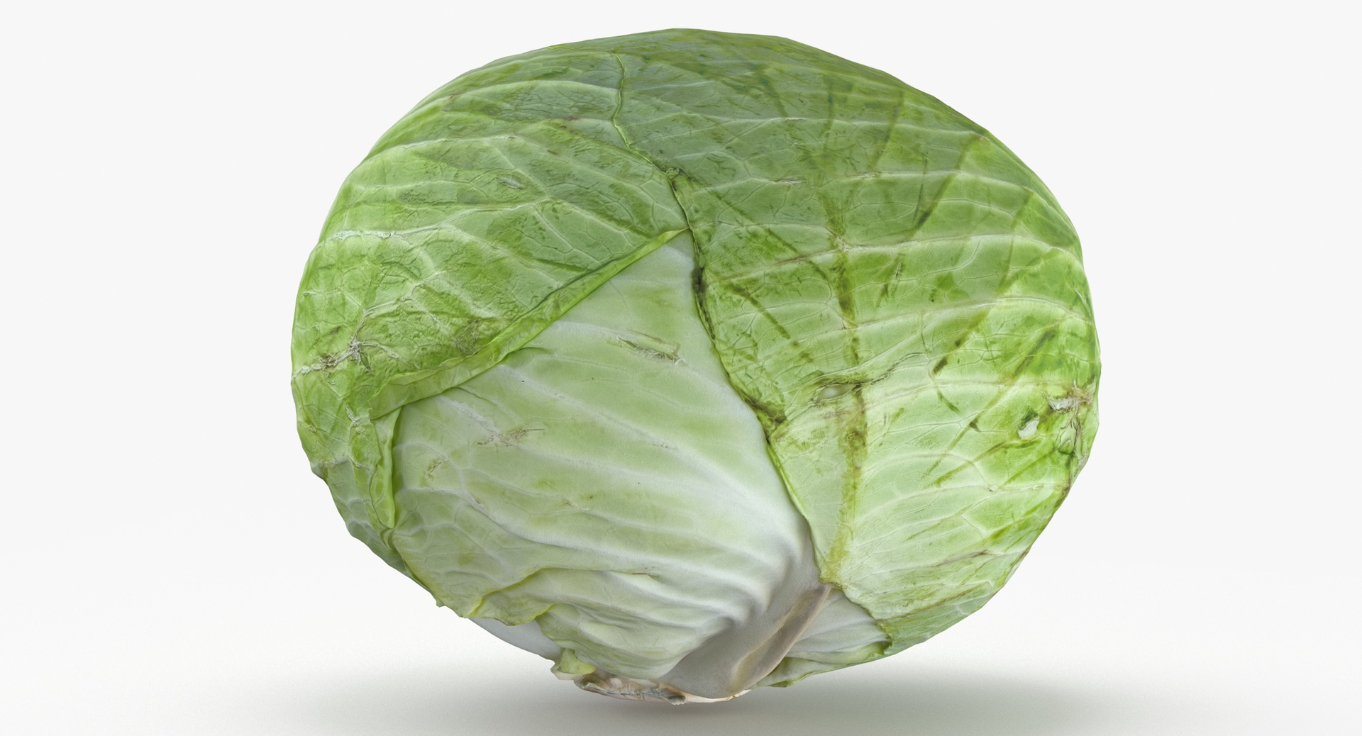 Cabbage 01 3D - TurboSquid 1839982