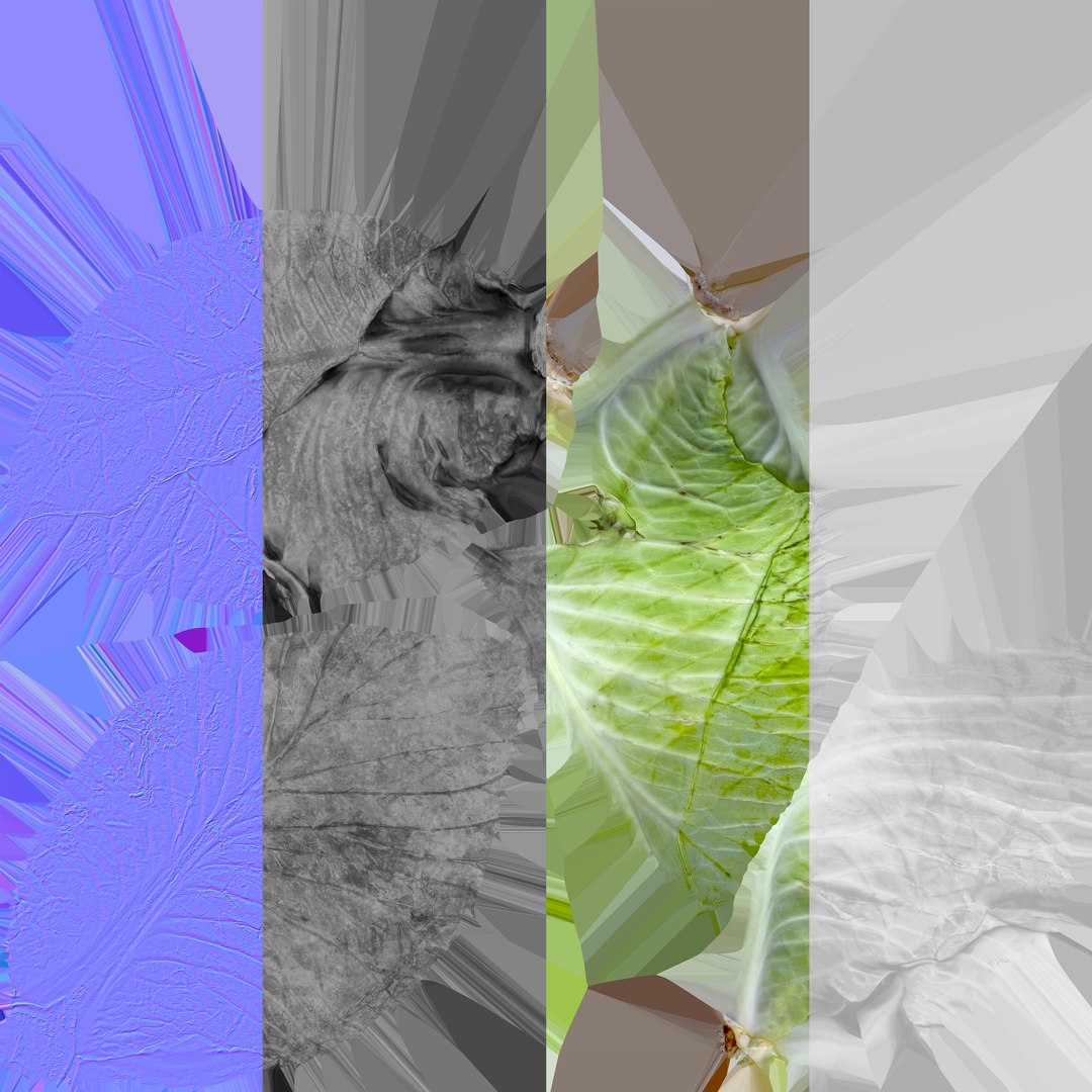 Cabbage 01 3D - TurboSquid 1839982