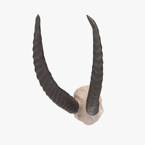 Stylized animal horns