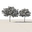 3D low poly Arabian ghaf trees of Emirates