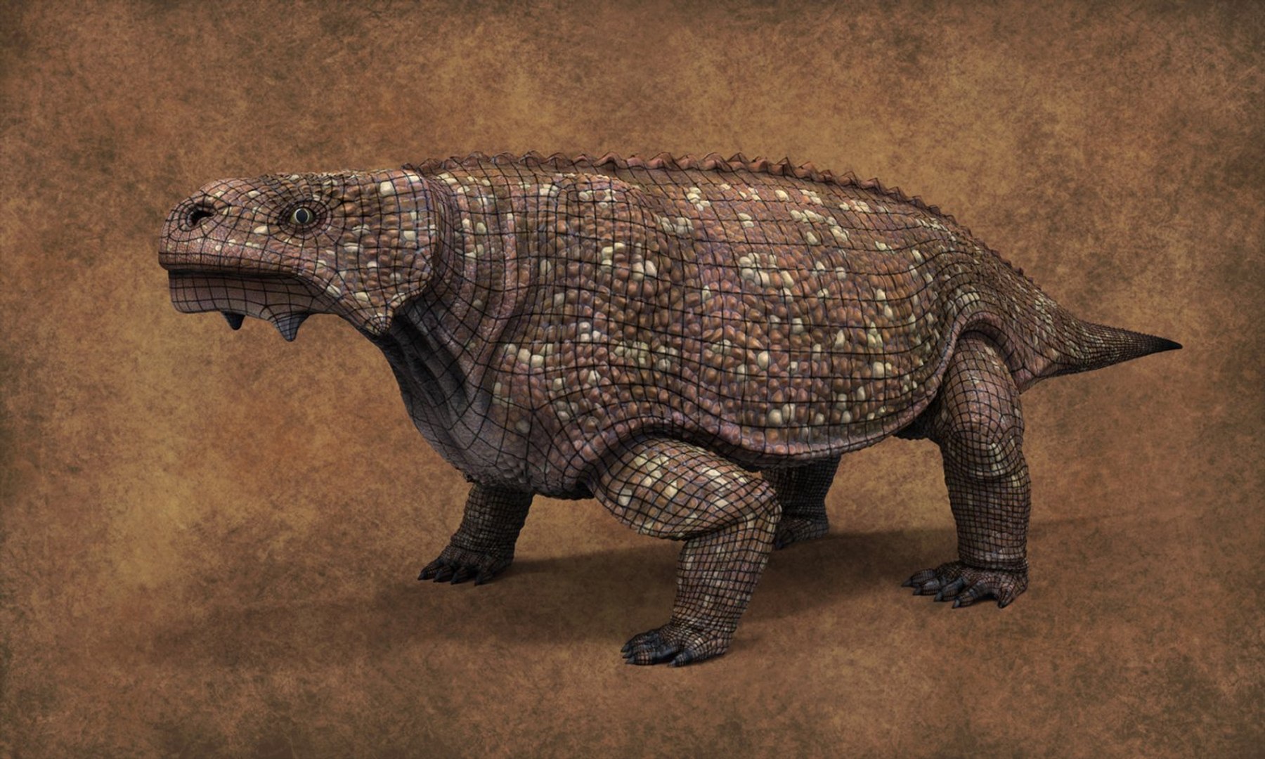 bradysaurus baini 3D model https://p.turbosquid.com/ts-thumb/5r/YdkLqC/oyo3H5PO/3/jpg/1541498013/1920x1080/fit_q87/296baffa3d04020b12424fec507e11baa6eb7a60/3.jpg