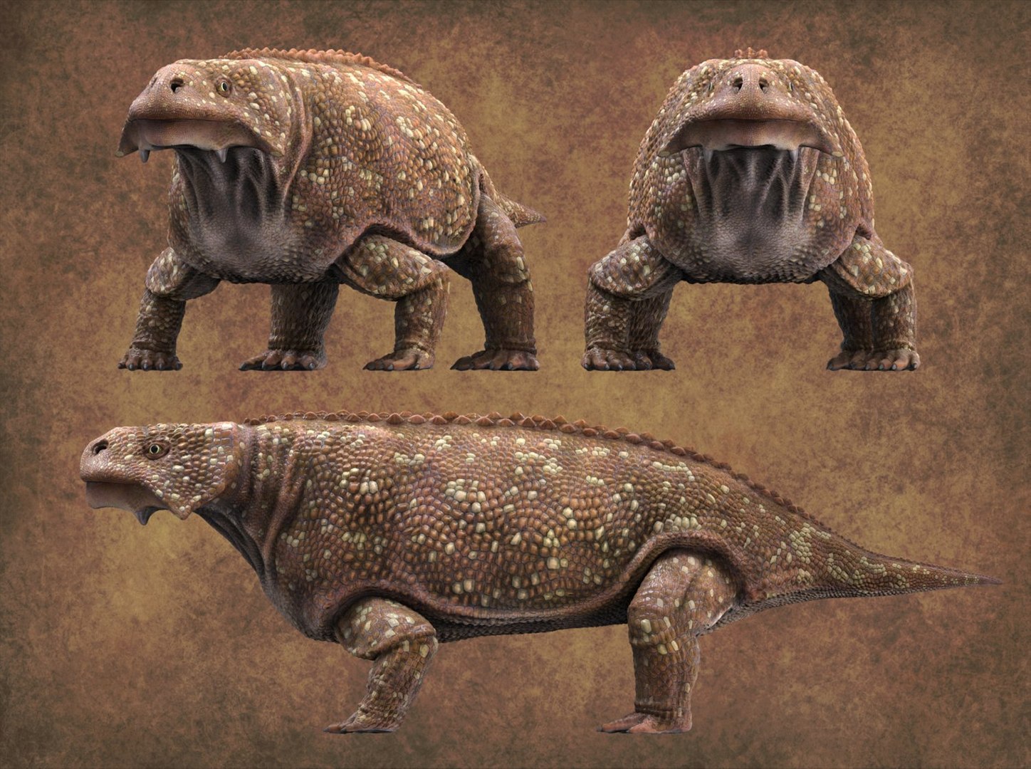bradysaurus baini 3D model https://p.turbosquid.com/ts-thumb/5r/YdkLqC/pnnM6ltW/4/jpg/1541498023/1920x1080/fit_q87/556bd2fcb7b5d99f7058e03ba6a50a30cf112f70/4.jpg