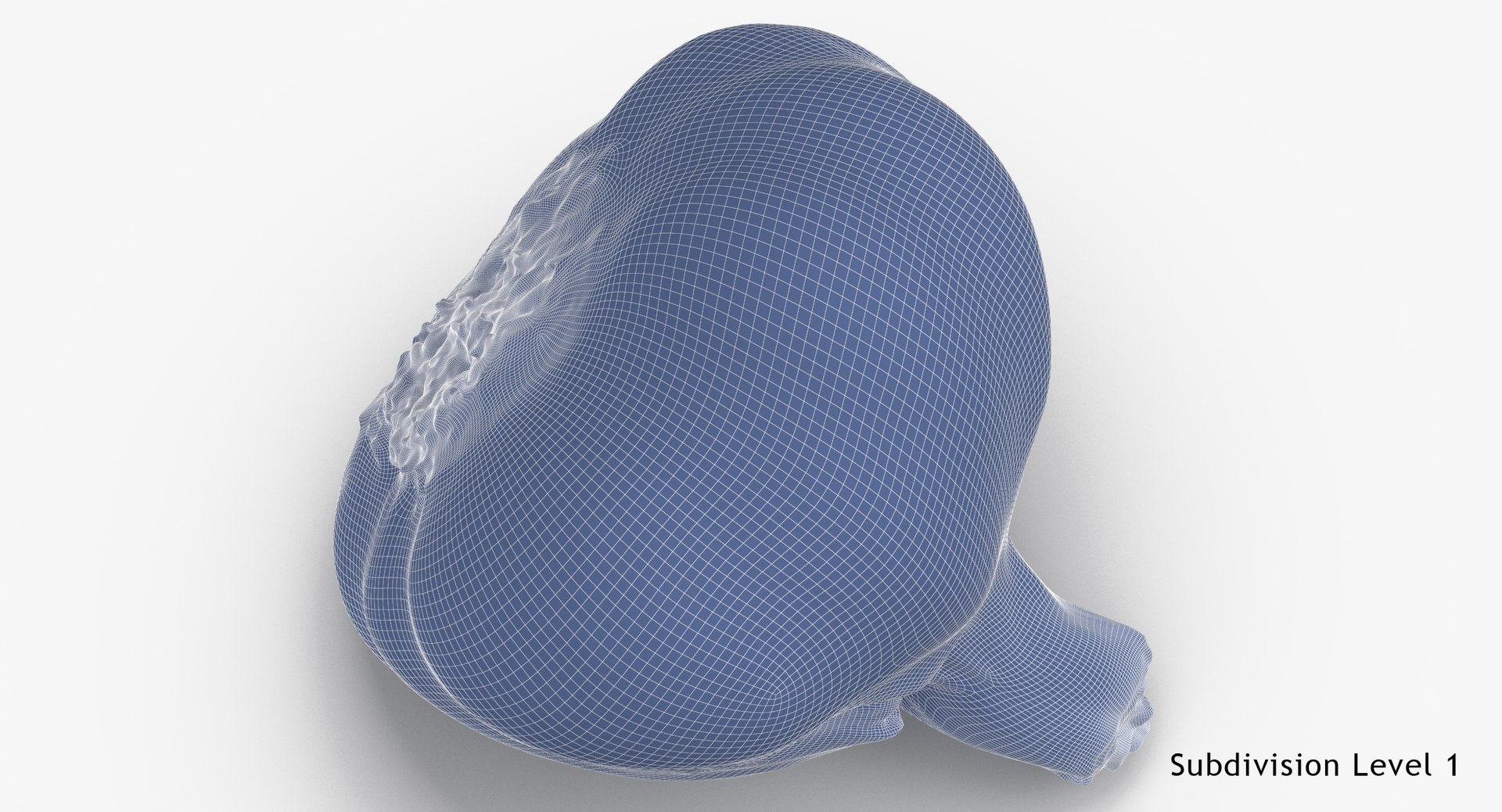garlic 01 3D model https://p.turbosquid.com/ts-thumb/5r/dJUxvc/nraWsYAd/garlic_01_wireframe_subdiv_1/jpg/1559567201/1920x1080/fit_q87/1ba9972a279ce8e7cb8d54ebb5cd0ad8fcf3a0bf/garlic_01_wireframe_subdiv_1.jpg