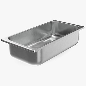 Empty Ice Cream Tray 3D