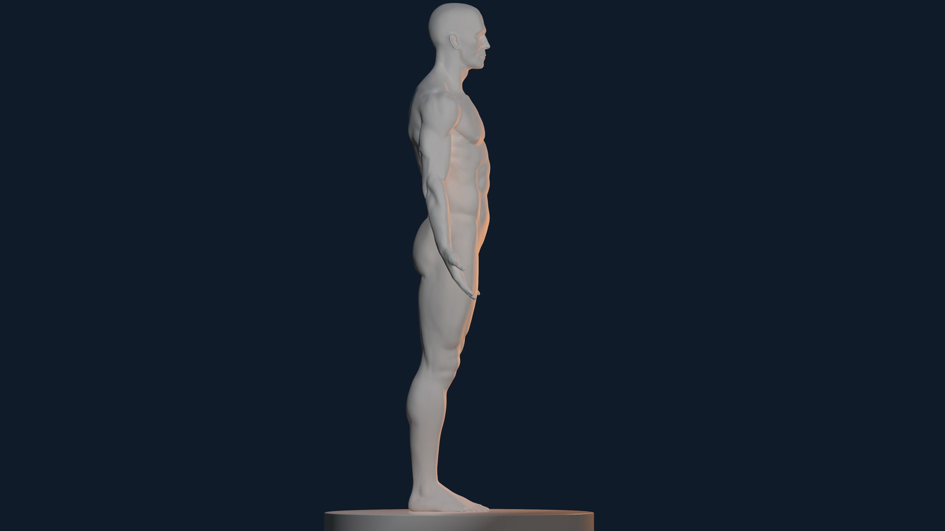 Anatomically Correct Male Body 3D Model - TurboSquid 1787542