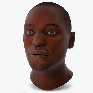 Handsome African American Male Head