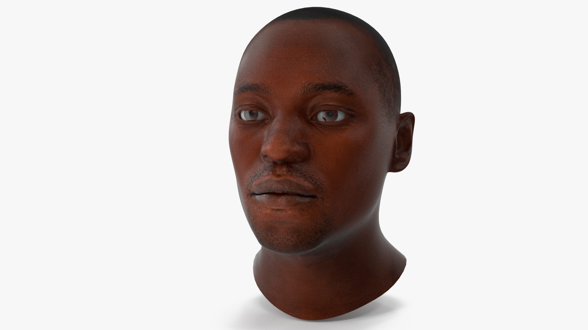 Handsome African American Male Head 3D model preview
