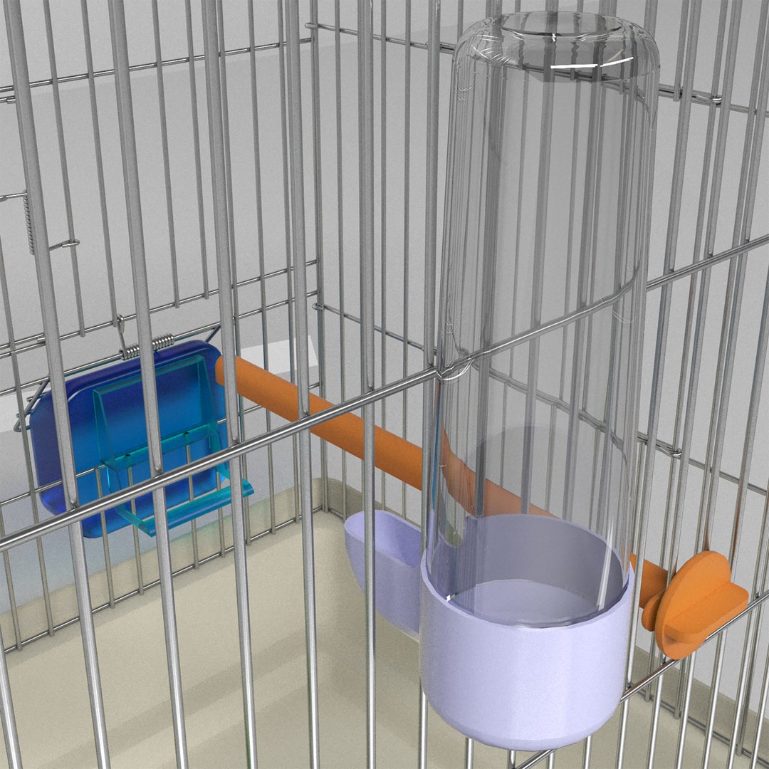 Bird Cage Realistic 3D model https://p.turbosquid.com/ts-thumb/5r/ojmPI8/0n/birdcagerealistic5/png/1629450817/1920x1080/fit_q87/5b3a41d348b0ad8adc8748b12c7c1ea1c4dd046c/birdcagerealistic5.jpg