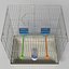Bird Cage Realistic