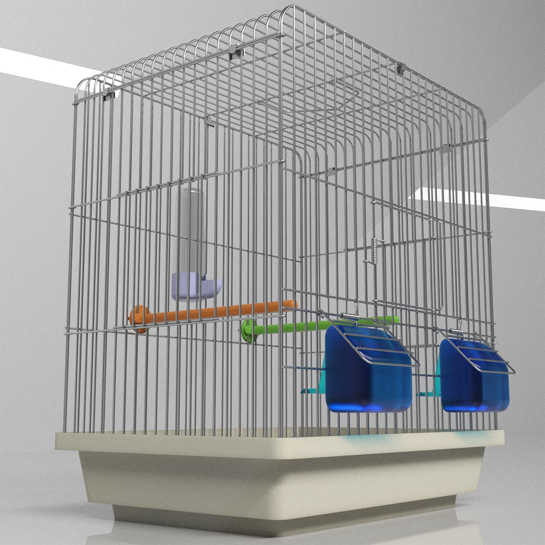 Bird Cage Realistic 3D model https://p.turbosquid.com/ts-thumb/5r/ojmPI8/QB/birdcagerealistic2/png/1629450789/1920x1080/fit_q87/b6a8126a918ef8de3e62c616a7e46611e7c37c57/birdcagerealistic2.jpg