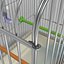 Bird Cage Realistic
