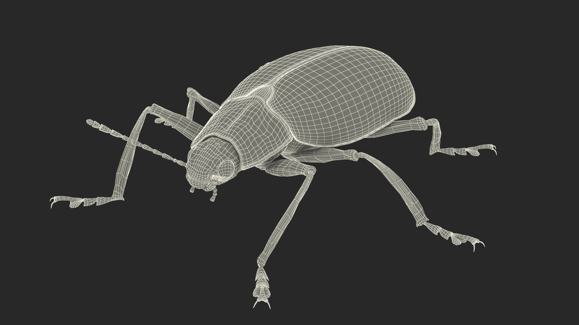 3D Blue Pleasing Fungus Beetle https://p.turbosquid.com/ts-thumb/5r/u9eJlm/3F/blue_pleasing_fungus_beetle_361/jpg/1729747092/1920x1080/turn_fit_q99/a01309fce5671809768fa977530fddc08bcfc9e2/blue_pleasing_fungus_beetle_361-1.jpg