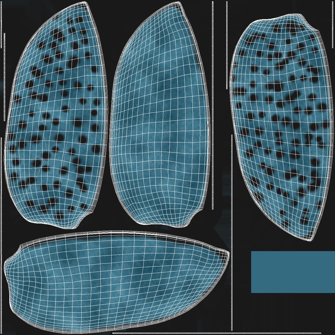 3D Blue Pleasing Fungus Beetle https://p.turbosquid.com/ts-thumb/5r/u9eJlm/Bv/bluepleasingfungusbeetlemb3dmodel016/jpg/1729747374/1920x1080/fit_q87/520c7e64020cd1324bfef4688b80037beb54f42d/bluepleasingfungusbeetlemb3dmodel016.jpg