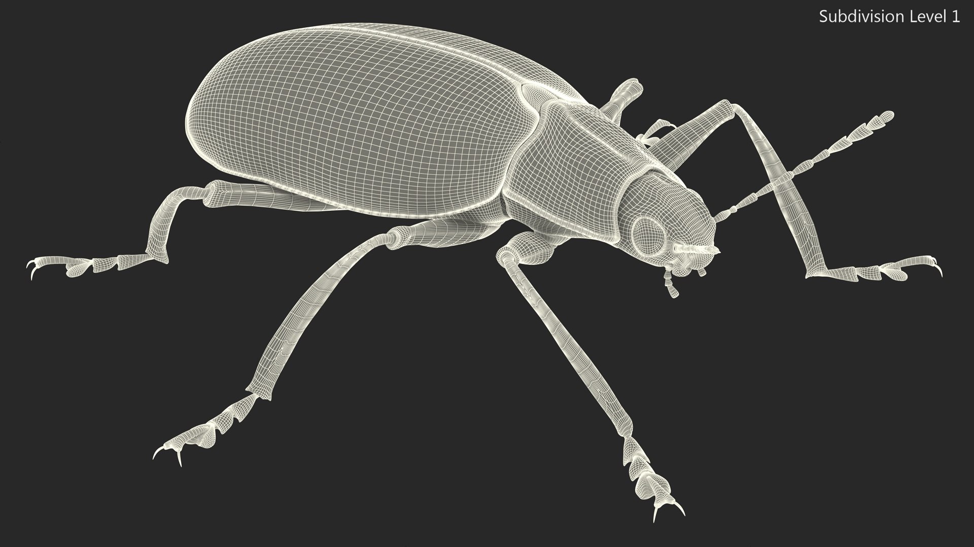 3D Blue Pleasing Fungus Beetle https://p.turbosquid.com/ts-thumb/5r/u9eJlm/Cp/bluepleasingfungusbeetlemb3dmodel015/jpg/1729747368/1920x1080/fit_q87/15885952c30ff02867602d92bcd37a27b765f366/bluepleasingfungusbeetlemb3dmodel015.jpg