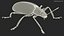 Blue Pleasing Fungus Beetle