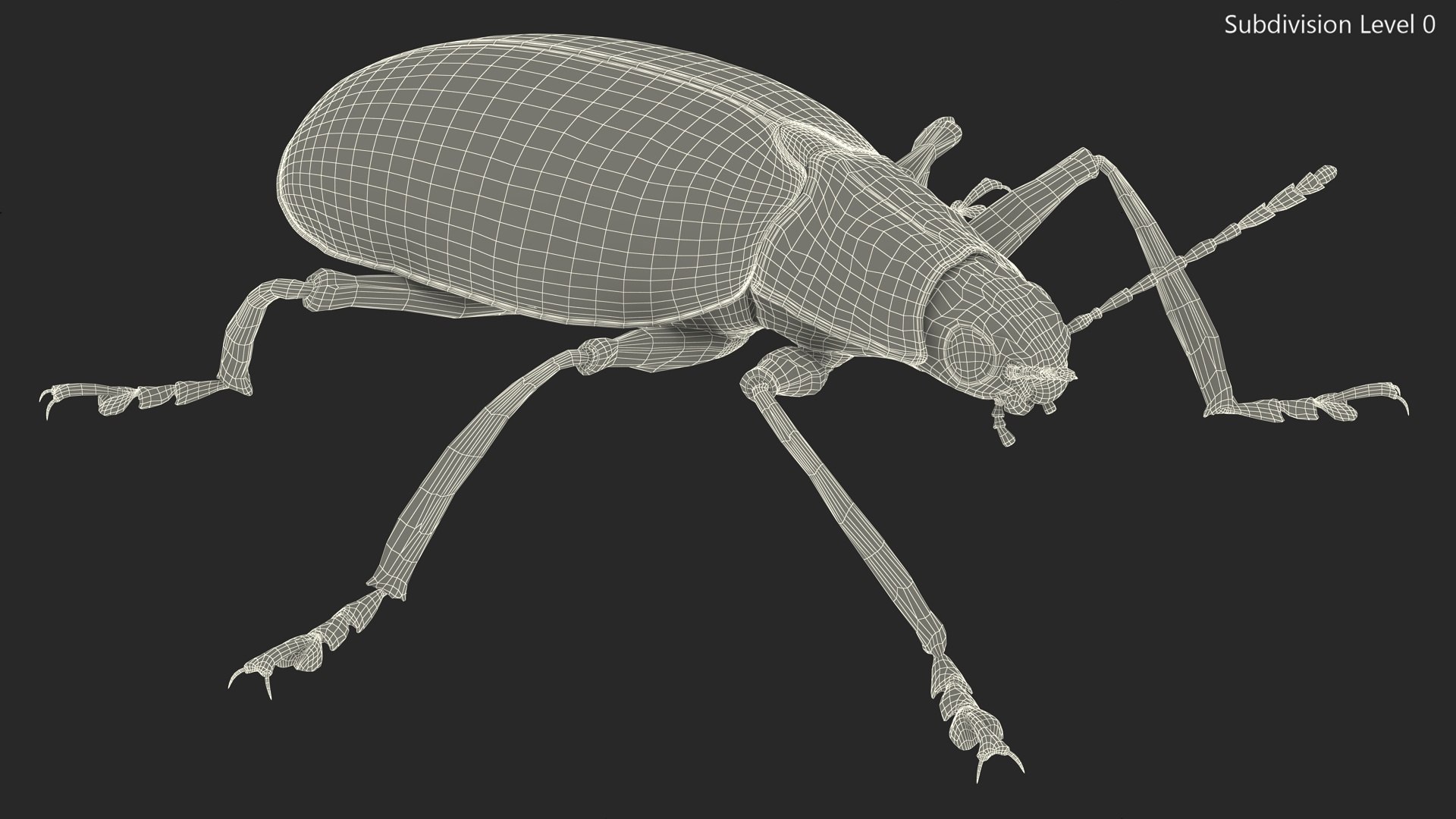 3D Blue Pleasing Fungus Beetle https://p.turbosquid.com/ts-thumb/5r/u9eJlm/Fx/bluepleasingfungusbeetlemb3dmodel014/jpg/1729747362/1920x1080/fit_q87/2405c6572434cedc29f4ddebac006e2eac6f77f6/bluepleasingfungusbeetlemb3dmodel014.jpg