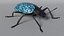 Blue Pleasing Fungus Beetle
