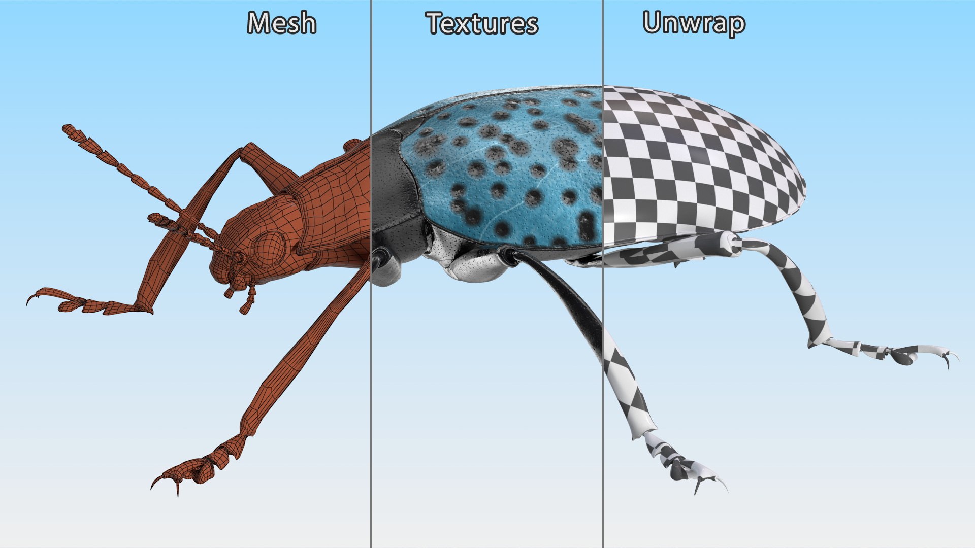 3D Blue Pleasing Fungus Beetle https://p.turbosquid.com/ts-thumb/5r/u9eJlm/VM/bluepleasingfungusbeetlemb3dmodel013/jpg/1729747356/1920x1080/fit_q87/c46f07306d96f01c284cc77073c3b90b2be5c224/bluepleasingfungusbeetlemb3dmodel013.jpg