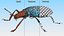 Blue Pleasing Fungus Beetle