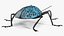 Blue Pleasing Fungus Beetle